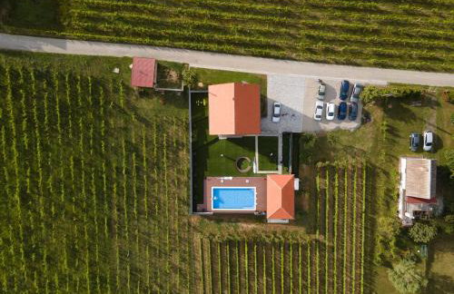 Vineyard Vila 01 by GREEN Croatia - Photo 4