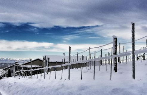 ROSTAGNI 1834 apt with pool in the Barolo region - Foto 40