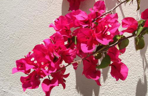 Casa René - Charming apartments - Foto 112