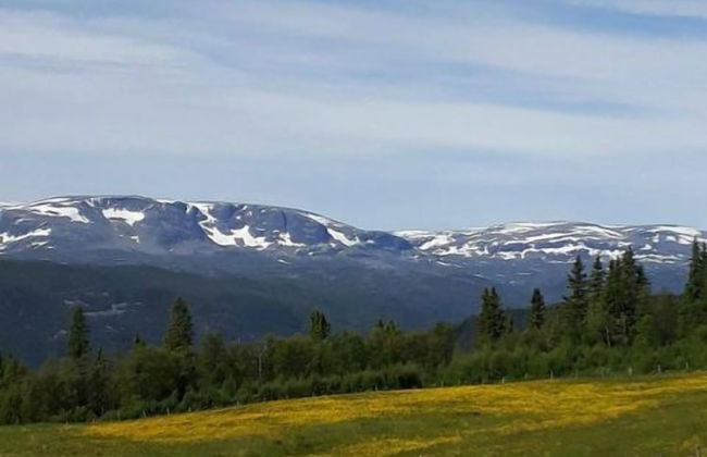 Blazerbu - Cabin for 8 persons - Hol - Foto 26