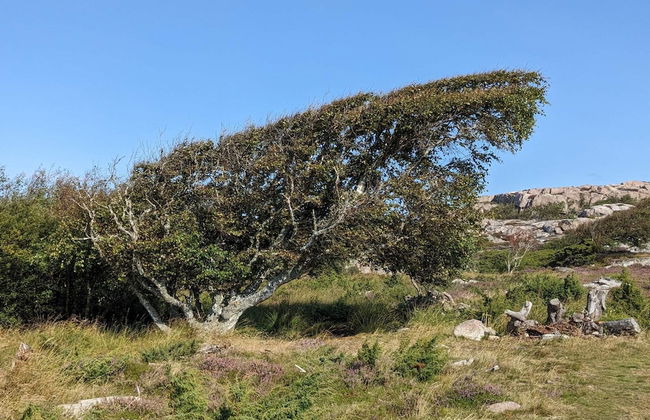 4 Star Holiday Home in Grebbestad-by Traum - Foto 14