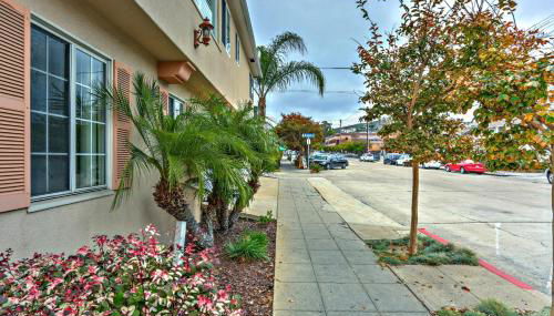 Blue Topaz - Photo 2