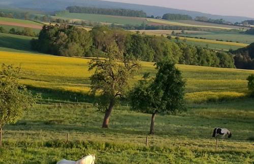 Gutshaus De La Fontaine - Photo 39