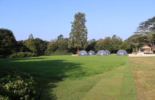 Orange Grove Hotel & Gardens - Foto 66