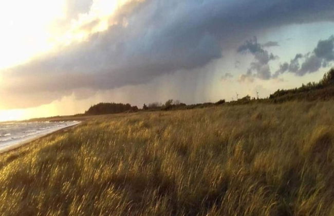 10 Person Holiday Home in Rodby-by Traum - Foto 8