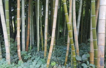 Le Mas de Trépeloup - Foto 48