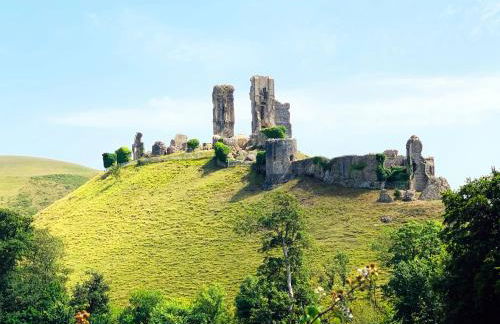 The Lookout - Photo 22