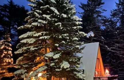 Chalet on Private Alderbrook Lake - Foto 48