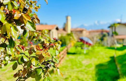 Piccola Luna - Foto 22