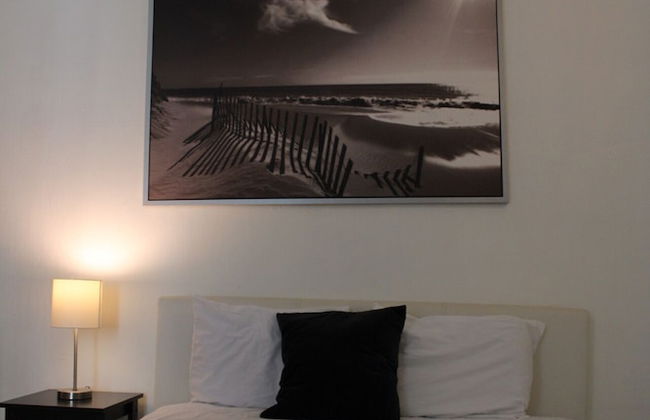 Gladiolas 1208 - Foto 3