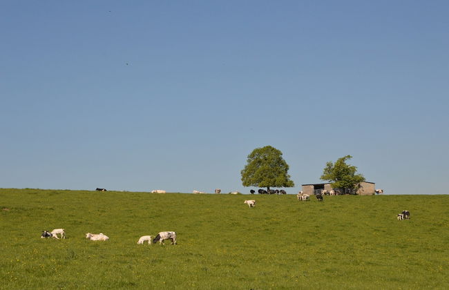 Spacious Family Villa, Offagne - Photo 38