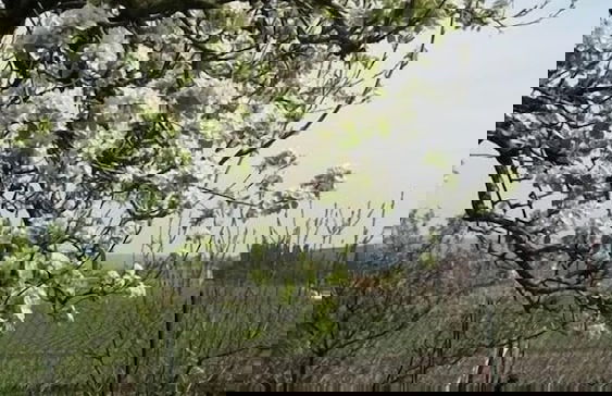 Agriturismo El Crear - Photo 48