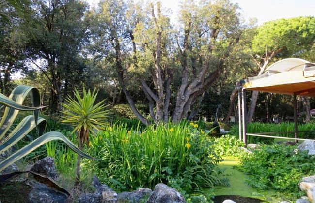 Peaceful Chalet Escape - Photo 25