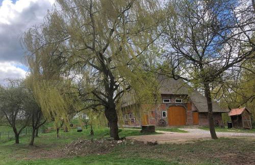 Deichkind - Reetdachhaus direkt am Elbdeich - Foto 8