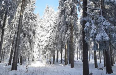 Ferienwohnung Waldblick Oberhof - Foto 16