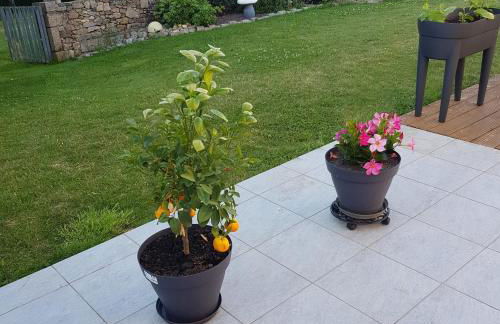 La Turlure - Foto 35