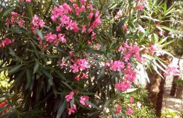 Studio Luna - Photo 10