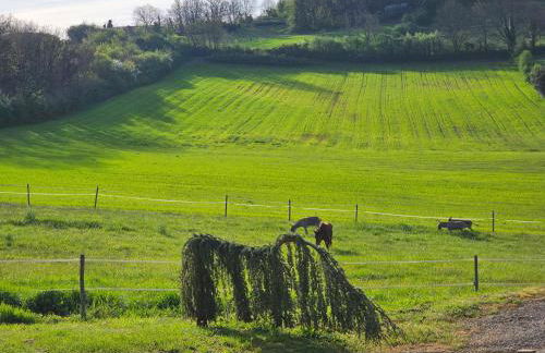Domaine de Massoulac - Foto 37
