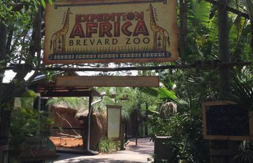 Pool & Spa Hideaway on the Space Coast - Foto 10