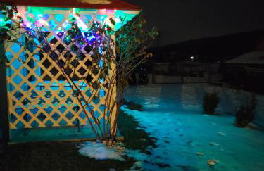 Blisko Lasu - Foto 70