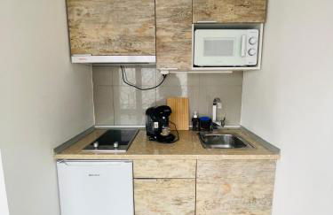 Apartahotel Canfranc - Foto 8