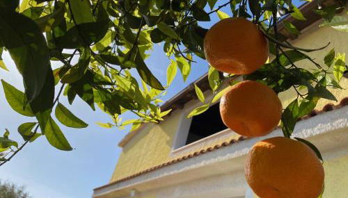 Villa Medusa - Foto 2