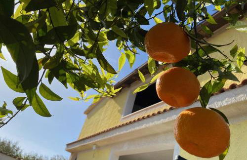 Villa Medusa - Foto 2