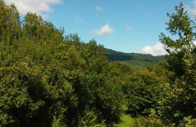 Kuća za odmor Sichelberg - Foto 24