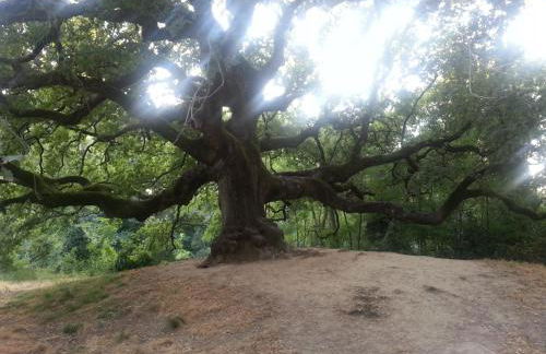 Il Fienile del Colle - Foto 48