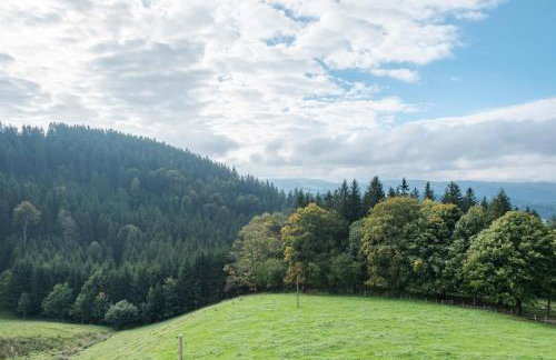 Kapfenmathishof Urlaubsbauernhof - Foto 24