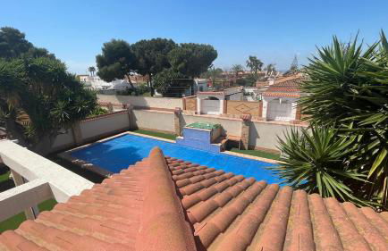 Sunny Florida - Foto 15