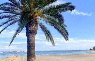 Apartment 50m from the sea, pool, AC, parking - Foto 5