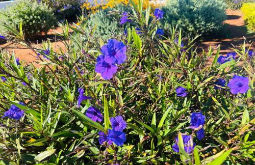 Makrigialos Long Beach Villa 5 - Foto 35