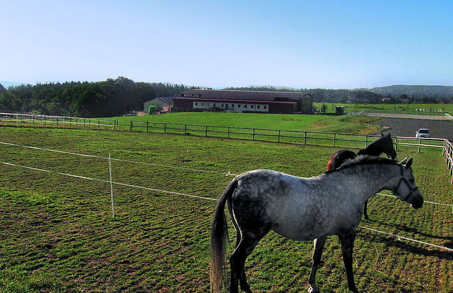 Petříkov - Foto 22