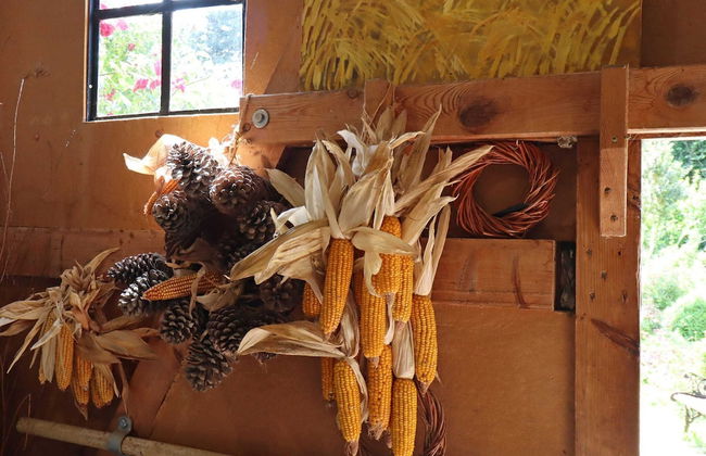 Rustic-style Apartment in Buschenhagen With Garden - Photo 75