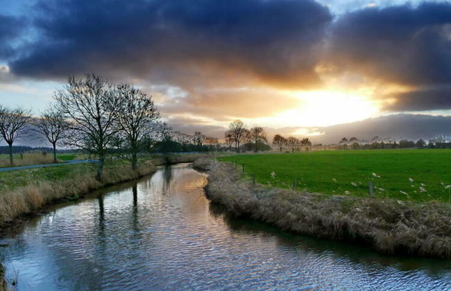 Holiday Home Chalet Wilde Wiese - Foto 2