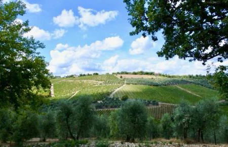 Ama- La Casina - Foto 22