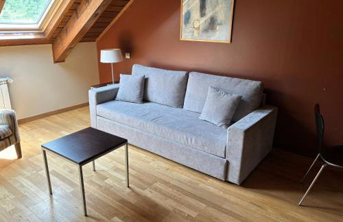 Aparthotel Siente Boí & Spa - Photo 159