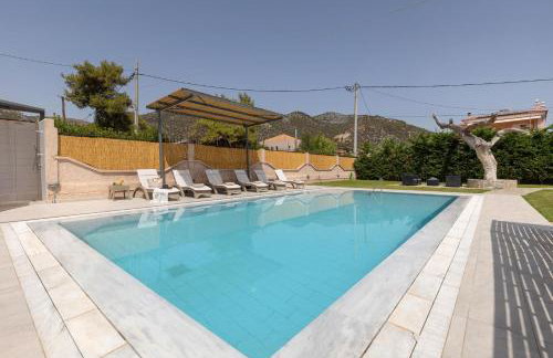 Apanemi Villa-Private Pool - Foto 8