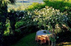 Holiday House Sant'Annunziata - Foto 2