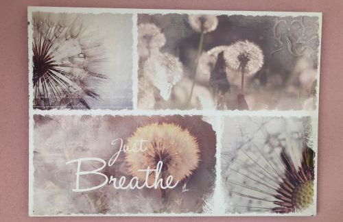 A&C Bergen - Foto 21