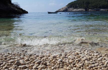 Robinson house Orlandusa - Foto 24