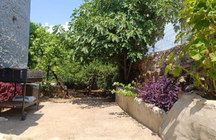 Traditional olive house - Gargalianoi - Foto 52