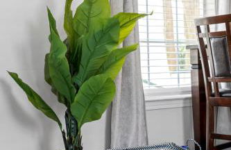 The Charleston Free Golf Cart Priv Pool Oasis - Foto 13