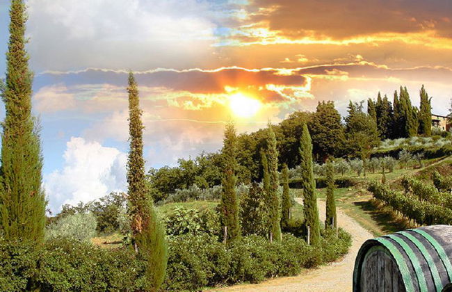 Visite viticole en petit groupe du Brunello di Montalcino au départ de Sienne - Photo 7