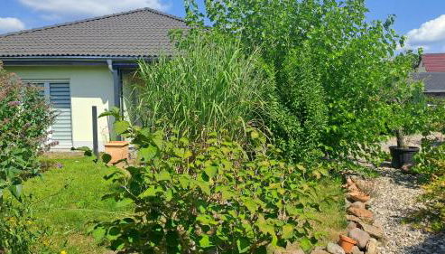 Bungalow Haus mit 3 Schlafzimmern nähe Dresden - Foto 4