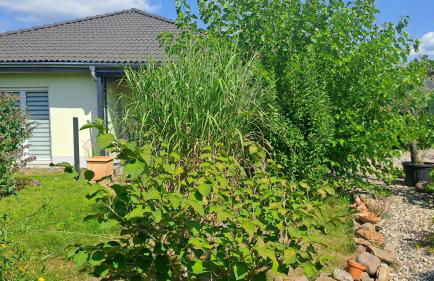 Bungalow Haus mit 3 Schlafzimmern nähe Dresden - Foto 4