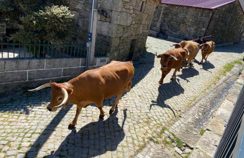 Casa dos Duques - Foto 25