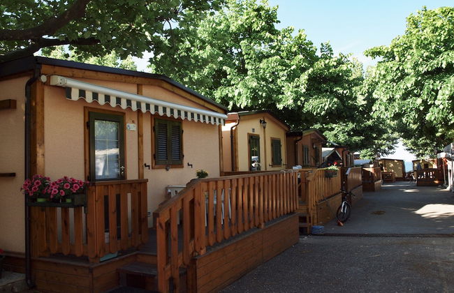 Parco Vacanze Lo Scoglio - Foto 57