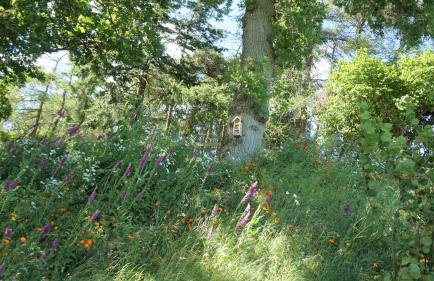 Shepherd's Watch Cottage - 5* Cyfie Farm with private hot tub - Foto 23